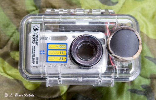 sony-s600-1015-ssii-2aas