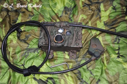 LBK 1010/S600/SS II #2 camera trap