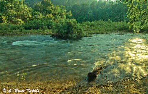Mae Nam Choan in Sai Yok