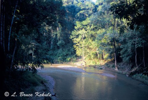 Mae Nam Lo in Sai Yok
