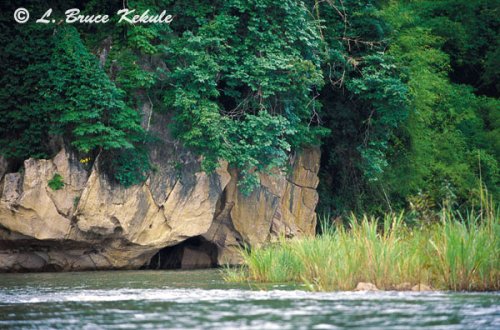 Mae Nam Lo in Sai Yok