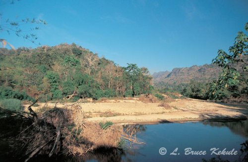 Mae Nam Noi in sai Yok