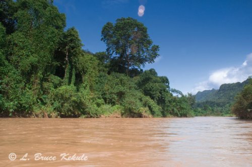 Mae Nam Choan in Sai Yok