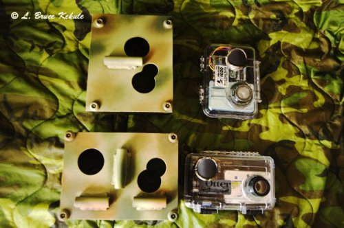A pair of W55s with aluminum 'elephant proof' boxes