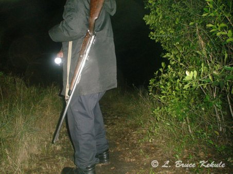 Patrol ranger with .458 Winchester M70 in Siana Springs Tented Camp