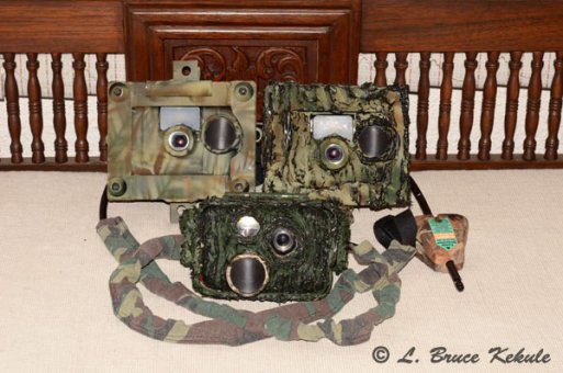 W7s and S600 camera traps to Africa