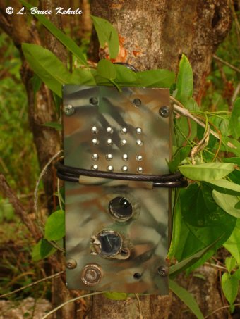 Egbertdavis DXG 125/LBK elephant proof box in the field
