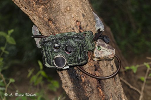Sony S600 camera trap in  Tsavo (West) National ParK