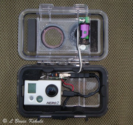 Go Pro - Bushnell traps