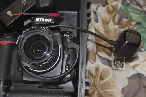 Nikon D700 Camera trap