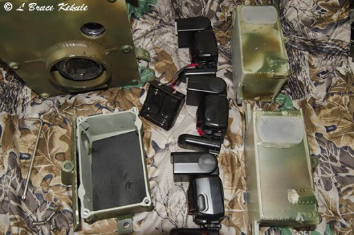 Nikon D700 Camera trap