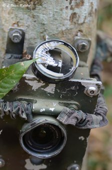 Busted DSLR Canon 350D camera trap