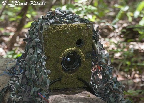 Nikon D700 camera trap