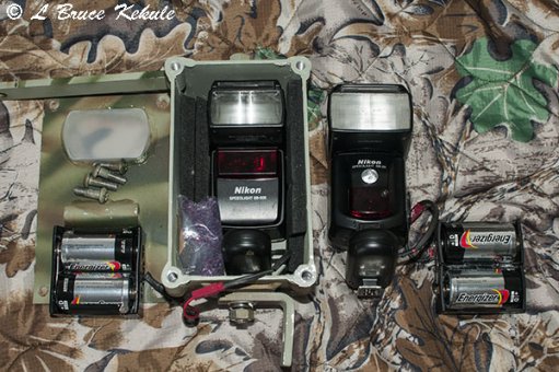 Nikon SB flashes