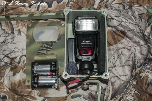 Nikon SB flashes