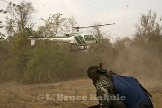 dnp-helicopter_0