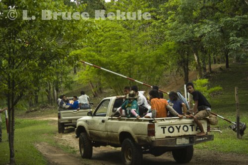 Taxis in Thung Yai