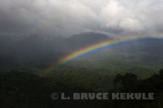 Rainbow-in-Kaeng-Krachan