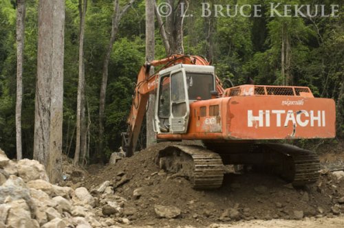 Back-hoe in Kaeng Krachan
