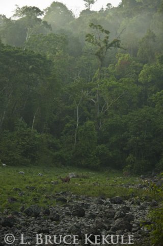 Mineral hot spring in Huai Kha KHaeng