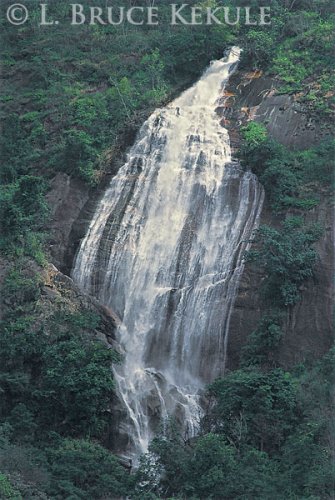 NATURAL 140