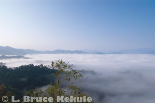'Sea of Fog' over the Phetchaburi watershed in Kaeng Krachan