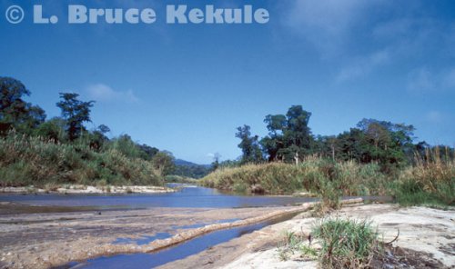 Huai Kha Khaeng in the interior