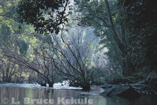 Mae Nam Lo - Khwae Noi tributary in Sai Yok