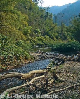 Phetchaburi River in Kaeng Krachan