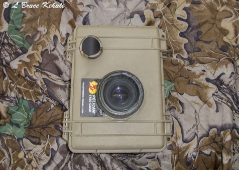 Canon 400D trail cam