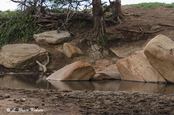 Stream in Tsavo (West) National Park, Africa, Kenya 2012