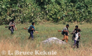 Poachers in Huai Kha Khaeng WS