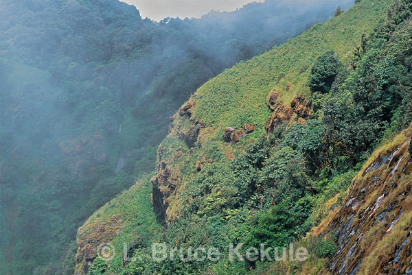 Kiew Mae Pan cliff in Doi Inthanon National Park