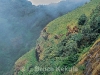 Kiew Mae Pan cliff in Doi Inthanon National Park