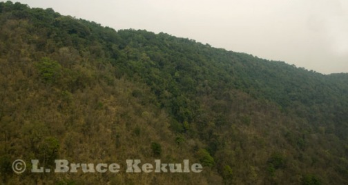 mixed-deciduous-hill-evergreen-forest