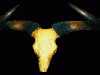 kouprey-horns-w