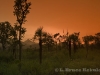 Sunset over Thung Yai Naresuan Wildlife Sanctuary