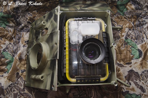 Nikon D90 trail cam in 'elephant proof'box