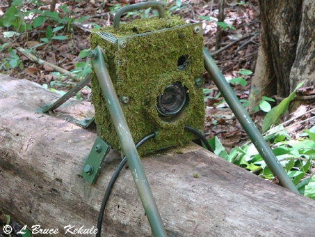 Nikon D700 camera trap