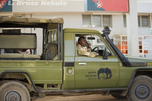 Kenyan ranger - Wildlife Service