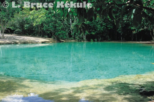 Emerald pond in Khao Nor Chuchi